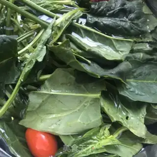 Make Spinach Sprout step 4
