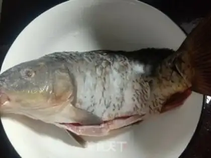 Make Water the carp step 1
