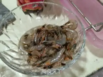 Make Shrimp step 0