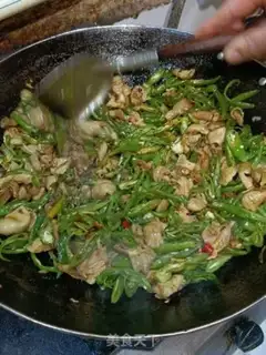 Make Paprika