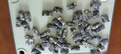 Make Black sesame pecan step 9