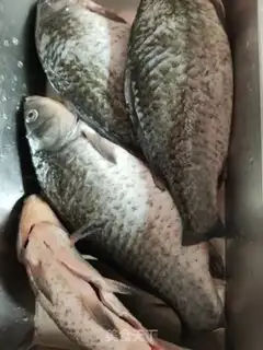 Make Red-burned mackerel step 0