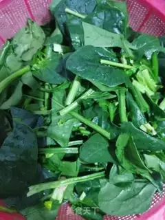 Make Spinach rolls step 1