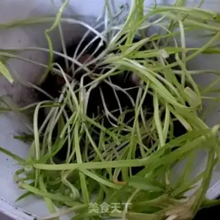 Make Garlic back to the pot step 0