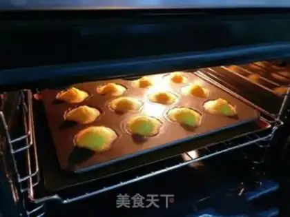 Make Madeleine step 11