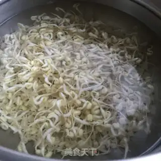 Make Spinach Sprout step 1