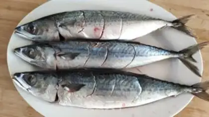 Make Burning swallow fish step 0