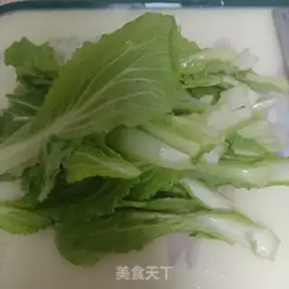 Make Pelican cabbage step 0