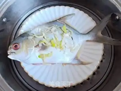 Make Vacuated goldfish step 3