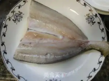 Make A big yellow fish step 1
