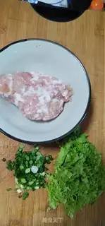 Make Pork dumplings step 0