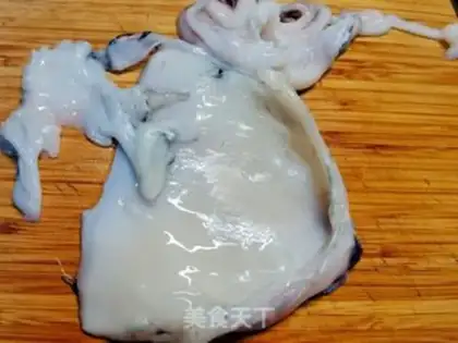 Make Squid squid step 0
