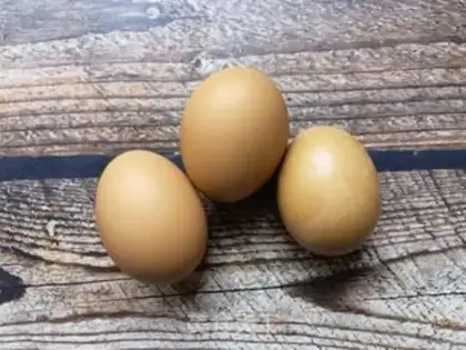 Make Fried eggs step 0