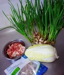 Make Garlic dumplings step 0