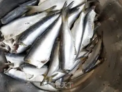 Make Blast the bluefish step 1