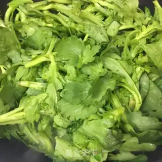 Make Sodium artery step 1