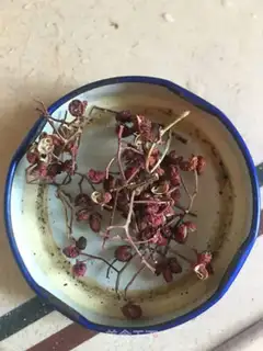 Make Floppy shrimp noodles step 2