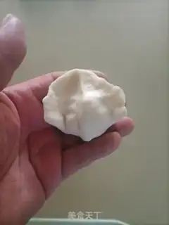 Make Sphinx dumplings step 15