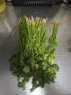 Make Secret cooking oil step 0