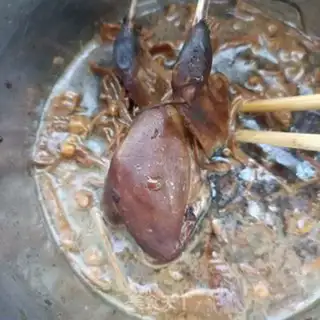 Make A quail with a chrysanthemum step 3