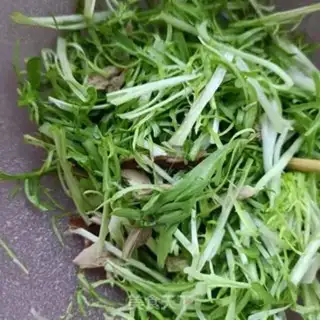 Make A quail with a chrysanthemum step 7