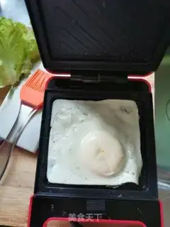 Make Homemade sandwiches step 0