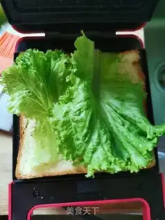 Make Homemade sandwiches step 3