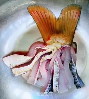 Make Butterfly tail step 5