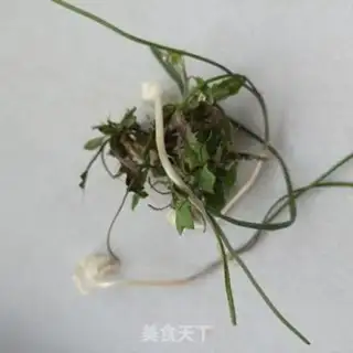 Make Sea cucumber bouquet soup step 11