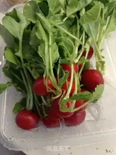 Make Red and green step 0