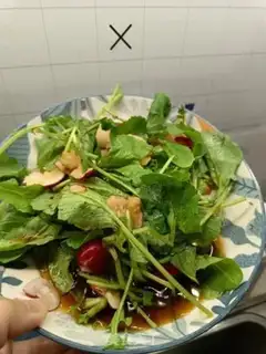 Make Red and green step 2