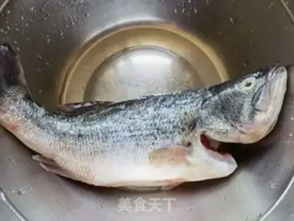 Make Cinderfish step 0