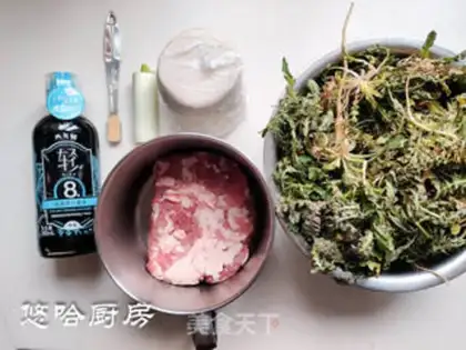 Make The dumplings step 0