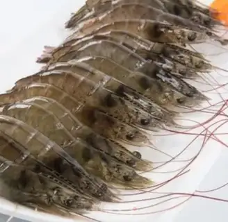 Make Shrimp ball step 3