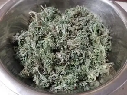 Make Steam artemisinin step 0