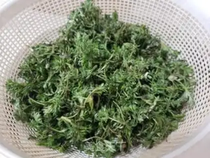 Make Steam artemisinin step 1