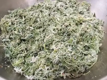 Make Steam artemisinin step 5