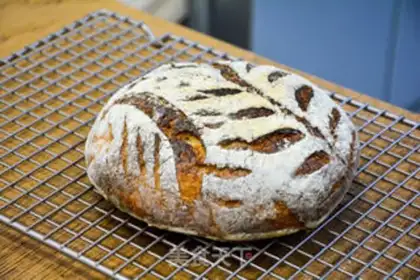 Make Low-temperature fermentation free of bread step 11