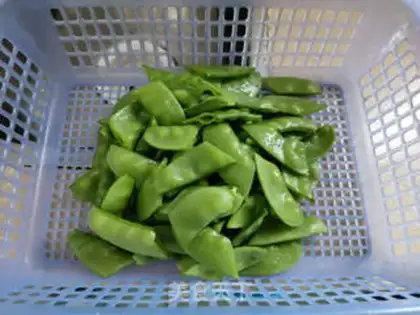 Make Dutch beans step 0