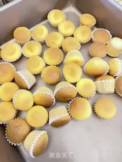 Make Minicake step 12