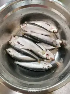 Make Blow the fish step 0