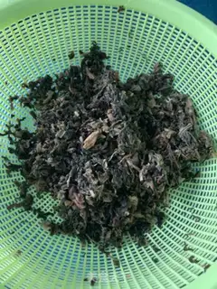 Make Plum chow step 7