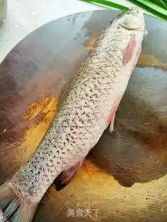 Make Fishbooks step 0