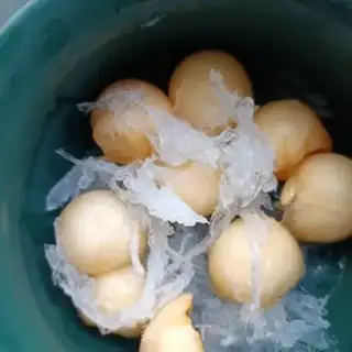 Make Hammelon stew step 6