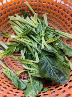 Make Spinach omelet step 0