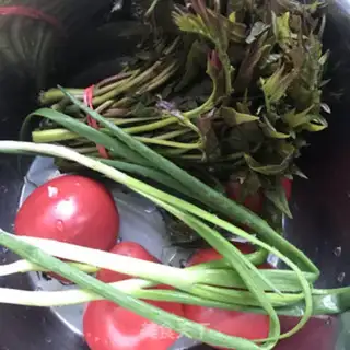 Make The sprouts step 0