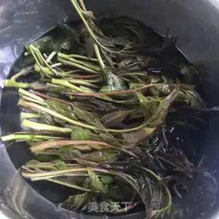 Make The sprouts step 1
