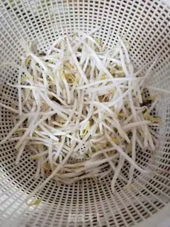 Make The green bean sprouts with red carrots step 1