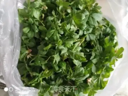 Make The five-leaf step 3