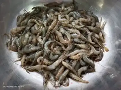 Make Shrimp step 0